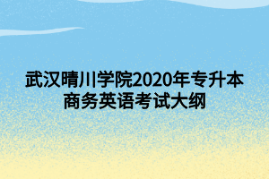 武漢晴川學(xué)院2020年專升本商務(wù)英語考試大綱