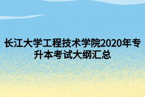 長江大學工程技術(shù)學院2020年專升本考試大綱匯總