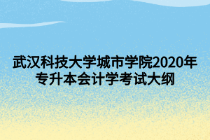 武漢科技大學(xué)城市學(xué)院2020年專(zhuān)升本會(huì)計(jì)學(xué)考試大綱