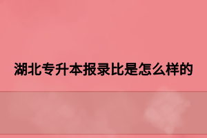 湖北專升本報(bào)錄比是怎么樣的