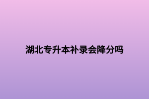 湖北專升本補錄會降分嗎