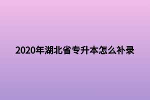 2020年湖北省專升本怎么補錄