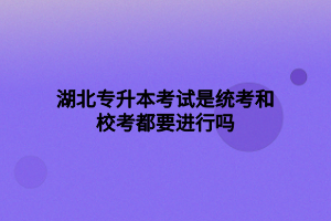 湖北專升本考試是統(tǒng)考和?？级家M(jìn)行嗎