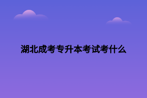 湖北成考專升本考試考什么