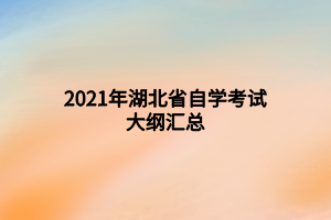 2021年湖北省自學(xué)考試大綱匯總