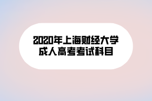 2020年上海財經(jīng)大學成人高考考試科目