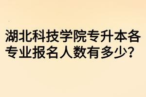 湖北科技學(xué)院專升本各專業(yè)報(bào)名人數(shù)有多少？