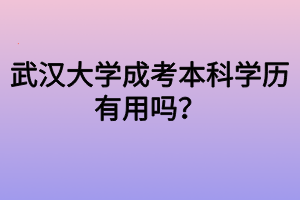 武漢大學(xué)成考本科學(xué)歷有用嗎？