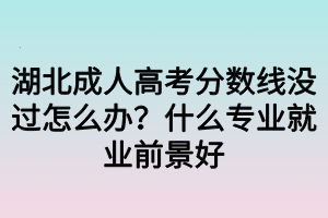 湖北成人高考分?jǐn)?shù)線沒(méi)過(guò)怎么辦？什么專(zhuān)業(yè)就業(yè)前景好