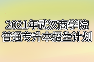 2021年武漢商學(xué)院普通專(zhuān)升本招生計(jì)劃