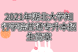 2021年湖北大學(xué)知行學(xué)院普通專(zhuān)升本招生簡(jiǎn)章