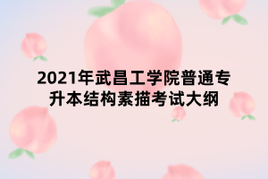 2021年武昌工學院普通專升本結構素描考試大綱