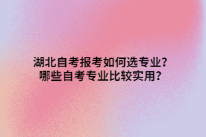 湖北自考報考如何選專業(yè)？哪些自考專業(yè)比較實用？