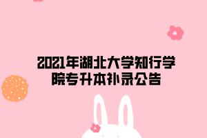 2021年湖北大學(xué)知行學(xué)院專升本補(bǔ)錄公告