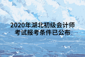 2020年湖北初級會計(jì)師考試報(bào)考條件已公布