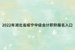 2022年湖北省咸寧中級會計(jì)職稱報(bào)名入口