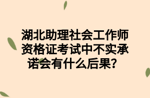 湖北助理社會工作師資格證考試中不實承諾會有什么后果？