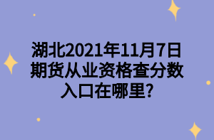 湖北2021年11月7日期貨從業(yè)資格查分數入口在哪里_