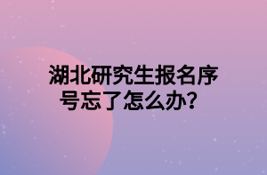 湖北研究生報名序號忘了怎么辦？