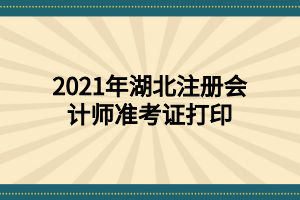 2021年湖北注冊會計師準(zhǔn)考證打印