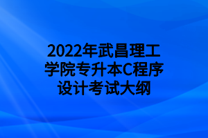 2022年武昌理工學(xué)院專升本C程序設(shè)計考試大綱