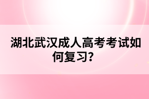 湖北武漢成人高考考試如何復(fù)習(xí)？