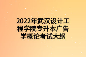 2022年武漢設(shè)計工程學(xué)院專升本廣告學(xué)概論考試大綱