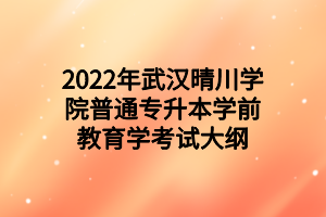 2022年武漢晴川學院普通專升本學前教育學考試大綱