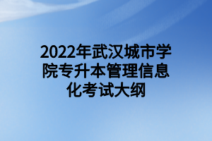 2022年武漢城市學(xué)院專升本管理信息化考試大綱