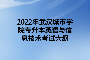 2022年武漢城市學(xué)院專升本英語與信息技術(shù)考試大綱