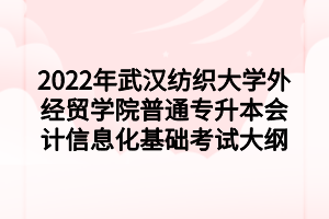 2022年武漢紡織大學(xué)外經(jīng)貿(mào)學(xué)院普通專升本會(huì)計(jì)信息化基礎(chǔ)考試大綱