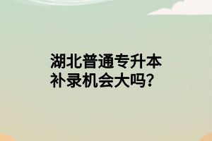 湖北普通專升本補(bǔ)錄機(jī)會大嗎？