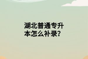 湖北普通專(zhuān)升本怎么補(bǔ)錄？