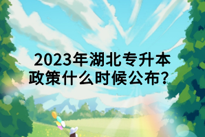 2023年湖北專升本政策什么時候公布？